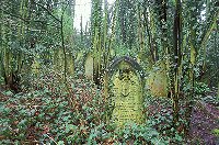 As pockets of countryside within urban areas and as inherently quiet places, cemeteries can provide a range of habitats that can support a diversity of wildlife - C. Roger Bowdler, English Heritage