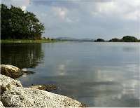 In Lough Sheelin, until recently the countrys most important trout lake, the number of fish fell from 120,000 to fewer than 10,000 in just seven years