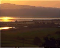 The Save the Swilly organisation ... is calling for a moratorium on aquaculture licensing in the deep-water sea lough