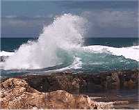 Wave